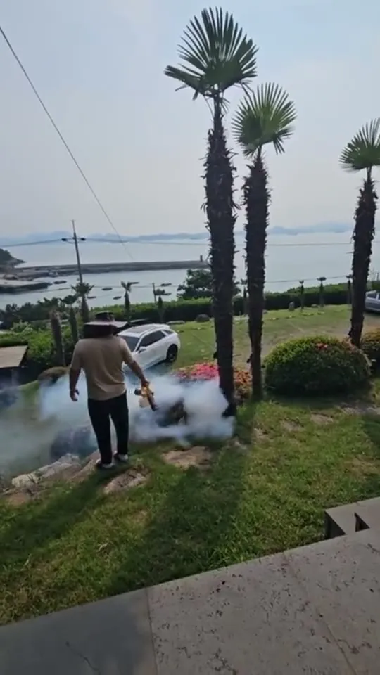실제 사용 현장 2 — 재생 전 첫 장면